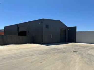 Industrial/Warehouse For Lease - VIC - Irymple - 3498 - WAREHOUSE/SHEDS AVAILABLE  (Image 2)