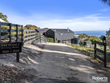 House For Sale - TAS - Coles Bay - 7215 - Black + Shack - Coastal Investment or Permanent Paradise  (Image 2)