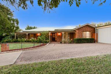 House For Sale - VIC - Mildura - 3500 - Elegance and Comfort: Discover Your Dream Home  (Image 2)