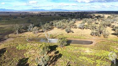 Mixed Farming For Sale - NSW - Narrabri - 2390 - OPPORTUNITY TO SECURE A BEAUTIFUL CROPPING AND GRAZING BLOCK  (Image 2)
