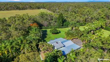 House For Sale - QLD - Isis River - 4660 - Your Own Private Resort!!  (Image 2)
