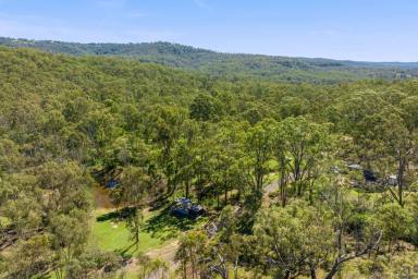 Acreage/Semi-rural For Sale - QLD - Murphys Creek - 4352 - " Hidden Valley" 160 ACRES of PRIVATE RURAL SANCTUARY with PANORAMIC ESCARPMENT VIEWS & HOME SITES  (Image 2)