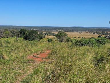 Other (Rural) For Sale - QLD - Mp Creek - 4606 - GREEN PANIC AND RED SOIL  (Image 2)