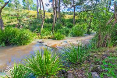 Lifestyle For Sale - NSW - Belbora - 2422 - Live surrounded by Natures Splendour  (Image 2)