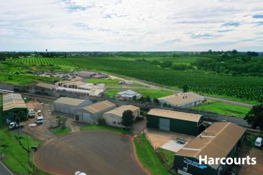 Residential Block For Sale - QLD - Doolbi - 4660 - 2 BIG SHEDS JUST OFF THE MAIN STREET  (Image 2)