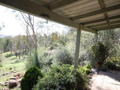 Unit Leased - NSW - Inverell - 2360 - Quite Cottage  (Image 2)