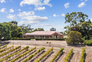 Viticulture For Sale - SA - Eden Valley - 5235 - Lifestyle opportunity offering rural views and great passive income….  (Image 2)