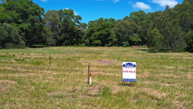Residential Block For Sale - QLD - Tully Heads - 4854 - New Tully Heads Road Frontage Land  (Image 2)