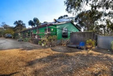 House For Sale - VIC - Carngham - 3351 - 2.84HA (7.02 Acres) Fantastic Lifestyle Property With Substantial Ranch Style Home  (Image 2)
