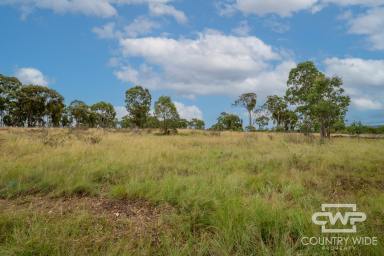 Lifestyle For Sale - NSW - Deepwater - 2371 - Secluded Rural Paradise  (Image 2)