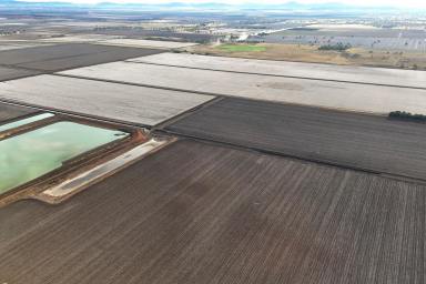 Cropping For Sale - NSW - Gunnedah - 2380 - Blue Ribbon Liverpool Plains Irrigation  (Image 2)