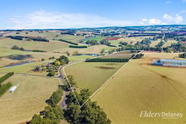 Mixed Farming Sold - VIC - Thorpdale - 3835 - Stake Your Claim - 37.5Acres a one off opportunity!  (Image 2)