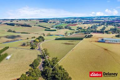 Mixed Farming Tender - VIC - Thorpdale - 3835 - Stake Your Claim - 37.5Acres a one off opportunity!  (Image 2)