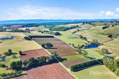 Mixed Farming Sold - VIC - Thorpdale - 3835 - Stake Your Claim - 37.5Acres a one off opportunity!  (Image 2)