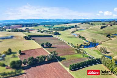 Mixed Farming Tender - VIC - Thorpdale - 3835 - Stake Your Claim - 37.5Acres a one off opportunity!  (Image 2)