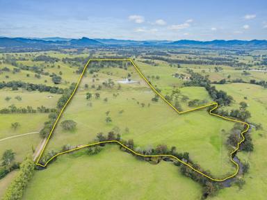 Other (Rural) Sold - NSW - Gloucester - 2422 - A Modern Take on Gloucester's Avon River Pastures  (Image 2)