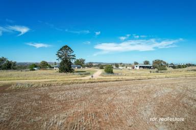 Mixed Farming For Sale - NSW - Inverell - 2360 - PINDAROI STATION  (Image 2)