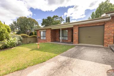 Unit For Sale - SA - Naracoorte - 5271 - Easy care unit - perfect investment or downsizing property  (Image 2)