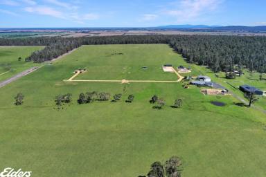 Other (Rural) For Sale - VIC - Devon North - 3971 - OUTSTANDING FACILITIES WITH LUXURIOUS HOME  (Image 2)