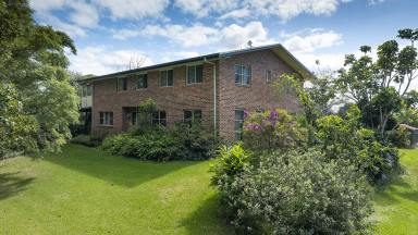 Acreage/Semi-rural For Sale - NSW - Mitchells Island - 2430 - Large Family Property with River Access  (Image 2)