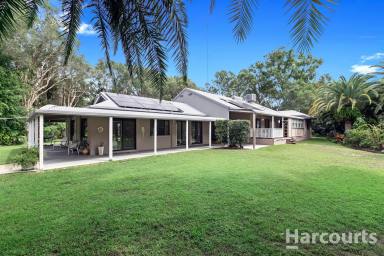 House For Sale - QLD - Dundowran Beach - 4655 - Tranquil Resort Style Living in Prime Dundowran Beach Location  (Image 2)