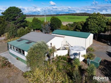 House For Sale - TAS - Lulworth - 7252 - Home, Shed, Three Acres, Close to the Beach!  (Image 2)