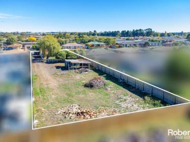House Auction - TAS - Longford - 7301 - Suggested interest from $350,000  (Image 2)