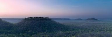 Other (Rural) For Sale - NT - Adelaide River - 0846 - NORTHERN TERRITORY CATTLE AND TOURISM OPPORTUNITY  (Image 2)