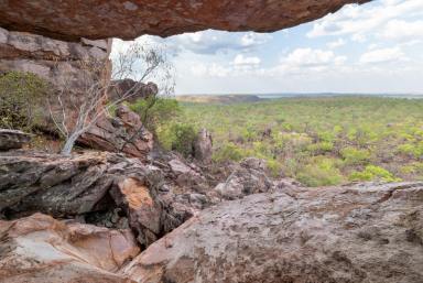 Other (Rural) For Sale - NT - Adelaide River - 0846 - NORTHERN TERRITORY CATTLE AND TOURISM OPPORTUNITY  (Image 2)