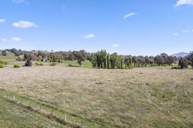Residential Block For Sale - VIC - Mansfield - 3722 - 22 Acres on the Edge of Town  (Image 2)