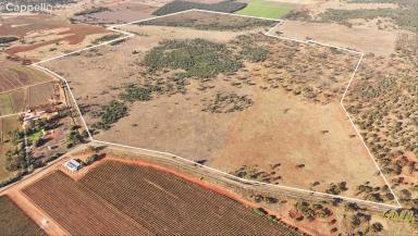 Other (Rural) For Sale - NSW - Murrami - 2705 - ELEVATED HOBBY BLOCK WITH DWELLING ENTITLEMENT (STCA)  (Image 2)