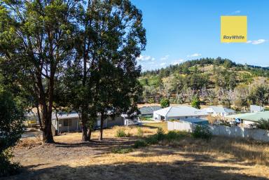 Residential Block For Sale - WA - Nannup - 6275 - LAND WITH VIEWS  (Image 2)