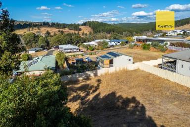 Residential Block For Sale - WA - Nannup - 6275 - LAND WITH VIEWS  (Image 2)