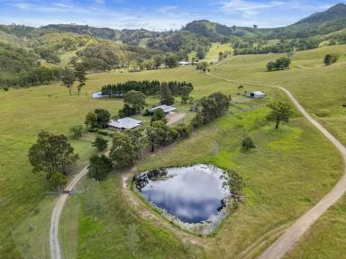 Lifestyle Sold - NSW - Singleton - 2330 - "Uralba" 110 acres (44.76ha)* of Pure Elegance and Spectacular Scenery!  (Image 2)