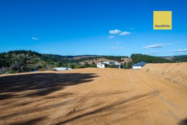 Residential Block For Sale - WA - Nannup - 6275 - Levelled land  (Image 2)