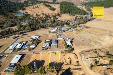 Residential Block For Sale - WA - Nannup - 6275 - Ready to Build!  (Image 2)