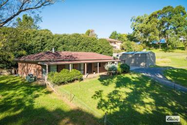House For Sale - NSW - Bega - 2550 - AN ACRE ON THE EDGE OF TOWN  (Image 2)