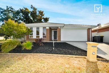 House For Sale - VIC - Shepparton - 3630 - LOW MAINTENANCE LIVING  (Image 2)