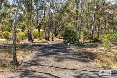 Residential Block For Sale - VIC - Ascot - 3551 - 2,280sqm Ready for Your New Home, Shedding and Landscaping  (Image 2)