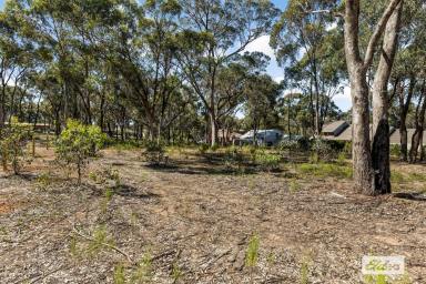 Residential Block For Sale - VIC - Ascot - 3551 - 2,280sqm Ready for Your New Home, Shedding and Landscaping  (Image 2)