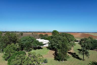 Acreage/Semi-rural For Sale - QLD - Dakenba - 4715 - A Peaceful Oasis.  (Image 2)