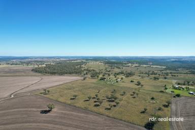 Lifestyle For Sale - NSW - Delungra - 2403 - "ALLAWAH" - RURAL LIFESTYLE ON 28ACRES  (Image 2)