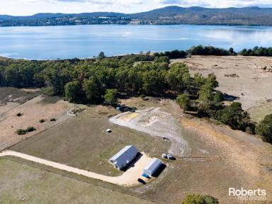 House For Sale - TAS - Gravelly Beach - 7276 - Modern Country Living on 16.4 Acres  (Image 2)