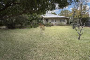 House For Sale - VIC - Swan Hill - 3585 - The PERFECT opportunity  (Image 2)