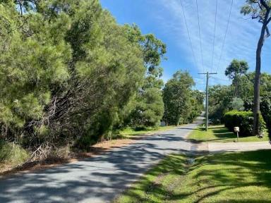 Residential Block For Sale - QLD - Macleay Island - 4184 - Large block  (Image 2)