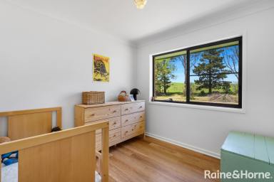 House For Lease - NSW - Back Forest - 2535 - A Beauty on Back Forest  (Image 2)
