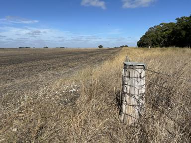 Mixed Farming For Sale - SA - Naracoorte - 5271 - Strong, Highly Productive Land with Bitumen Road Frontage  (Image 2)