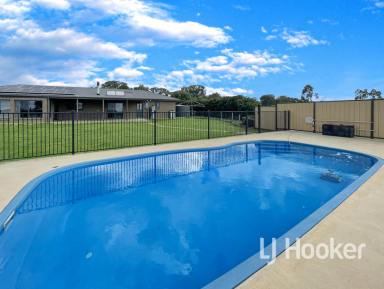 House For Sale - NSW - Inverell - 2360 - Acreage Living with Pool  (Image 2)