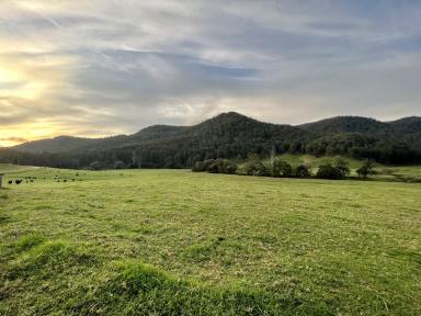 Lifestyle Sold - NSW - Laguna - 2325 - The Best of the Watagan Valley – Prime 108 Acres of Diverse Lush Pasture  (Image 2)