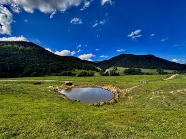 Lifestyle For Sale - NSW - Laguna - 2325 - The Best of the Watagan Valley – Prime 108 Acres of Diverse Lush Pasture  (Image 2)